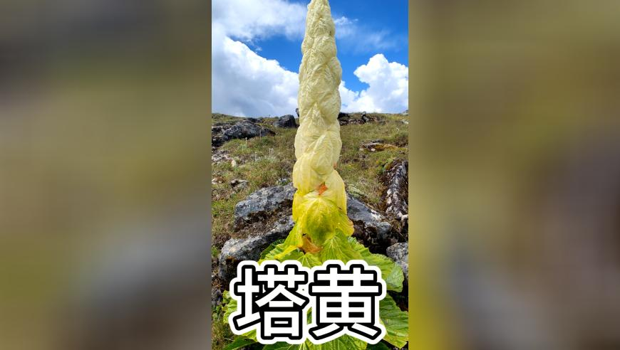 841995澳門跑狗圖2025年,整治網(wǎng)上金融信息亂象_創(chuàng)新版V5.31