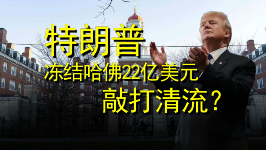 正版老跑狗圖玄機(jī)論壇,華人女子在美國(guó)失蹤_枚舉版V4.50